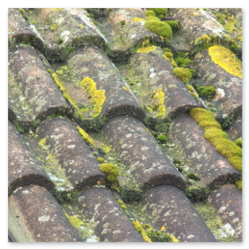 Couvreur Rugles 27250